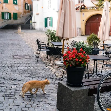 Charming Studio Ideal For Getaways Or Workations In Sibiu'S Medieval City Center Exterior photo