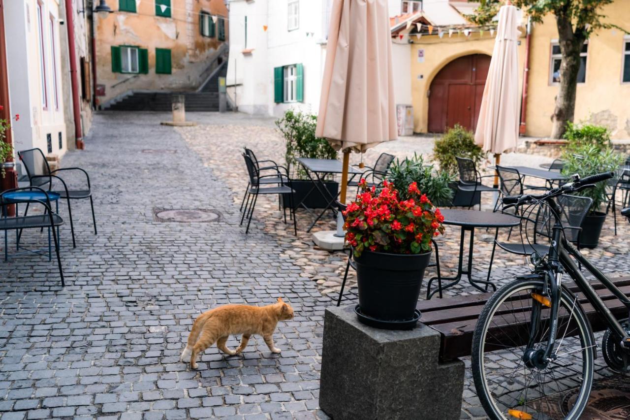 Charming Ideal For Getaways Or Workations In Sibiu's Medieval Center Sibiu